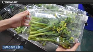 kt-600x vegetable packing machine 油菜花 柯田