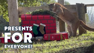 Happy Holidays from Oakland Zoo!