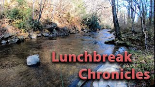 Lunchbreak Chronicles - Alarka Creek fly fishing.