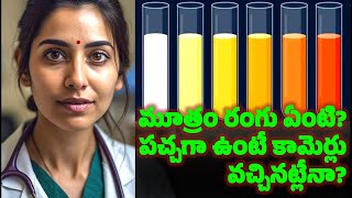 What is the actual color of Urine?: మూత్రం అసలు రంగు ఏంటి? తెల్లగా ఉంటేనే ఆరోగ్యంగా ఉన్నట్లా? | GP