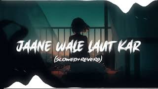 Jane Wale Laut Kar - B Praak Song (Slowed+Reverb) Lofi Mix