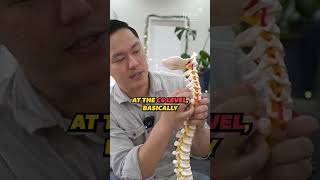 The Truth About A Chiropractic Y-Strap