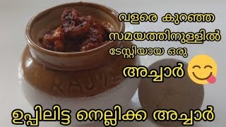 ഉപ്പിലിട്ട നെല്ലിക്ക അച്ചാർ /കുറഞ്ഞ സമയത്തിനുള്ളിൽ വളരെ ടേസ്റ്റി ആയിട്ടുള്ള അച്ചാർ റെഡിയാക്കാം 👍