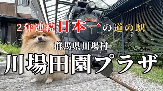 【見やすい】川場田園プラザってこんなとこ【全部見せます】