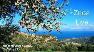 Omfanis - Ζήσε - Live