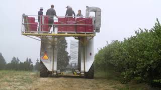 Ecampus field trip demonstration