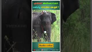 അരിക്കൊമ്പനെ ധരിപ്പിച്ച റേഡിയോ കോളർ എന്താണ് | Radio Collar #shorts