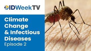 A Changing Climate’s Impact on Infectious Diseases | IDWeek TV 2024 | Episode 2