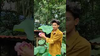 ആമ്പലും താമരയും പുതിയ വീഡിയോ | #lotus #water_lilly  #fancy_world #guppy_farm #crayfish_farm