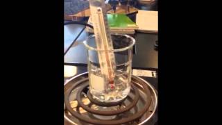 Evaporation Lab