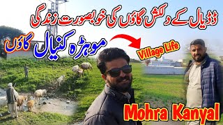 Life of Mohra Kanyal Village Dadyal🏠||Famous Vilage of Dadyal azad kashmir||#kashmirivloggers#dadyal