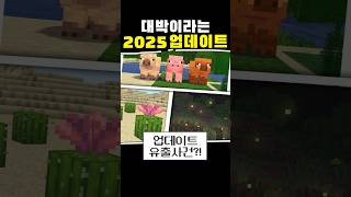 대박 2025 마인크래프트 봄 업데이트