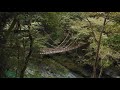 【日本三大秘境】祖谷の秘境とかずら橋 a hidden scenic place in tokushima（tokushima japan）