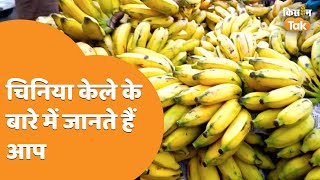 क्या आपने खाया है चिनिया केला, जानें इसकी खासियत  | Kisan Tak