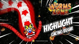 Highlight Worms Zone Io | Game Cacing | No 1 Dunia Cacing Besar Alaska