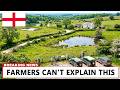 England Released Wild Animals Into a Dying Farm — 25 Years Later, This Happened