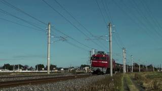 EF81牽引　貨物列車（常磐線）（2009年12月撮影）