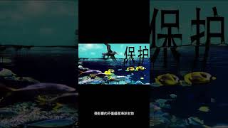 微塑料威脅：威脅我們海洋和海洋生物的隱藏污染物 #shorts