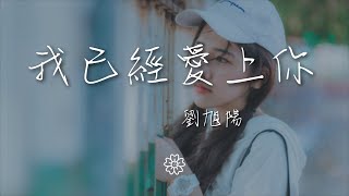 劉旭陽 - 我已經愛上你『那晚陪着你的夜 因爲我已愛上你』【動態歌詞Lyrics】