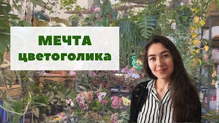 PRO. Änta's / ПРОГУЛКА по тропическому пространству + ОБЗОР магазина комнатных растений