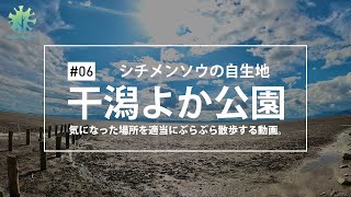 [散策] #06 — 有明海の干潟「干潟よか公園」で散歩をしました。