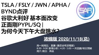 浓缩版美股11/18 (总) TSLA / FSLY / JWN / APHA / BYND点评谷歌大利好 基本面改变 正面刚PYPL/SQ |为何今天下午大盘跳水？周三美股分析