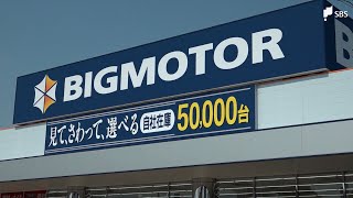 「街路樹に除草剤散布した」浜松のビッグモーター元店長が認める　浜松市は伐採の費用など請求へ