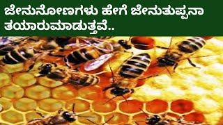 How do Bees make Honey | ಜೇನುನೋಣಗಳು ಹೇಗೆ ಜೇನುತುಪ್ಪವನ್ನ ತಯಾರಿಸುತ್ತವೆ..| mixture tv kannada