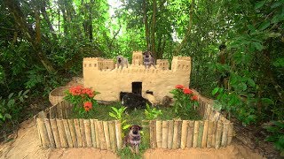 Saving Orphaned Puppies Build New Castle Mud House For Them