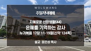 2022년 11월 20일 지혜로운 신앙생활(44)'은혜를 기억하는 감사'눅 17:11-19 윤은성 목사