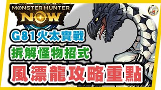 MHN  風漂龍新手攻略!! G81火太刀大戰8星風漂龍⚠️建議用火龍甲⚠️Monster hunter now 攻略! 拆解招式~