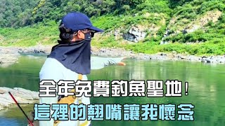 陕西深山小溪野生大鱼泛滥成灾太多了，下杆就中鱼，新手也能爆护【小陈夫妇】#2023dou来钓鱼 #dou是钓鱼人 #夏天的快乐是钓鱼给的 #钓鱼技巧