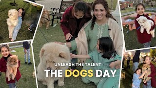 THE ULTIMATE DOG SHOW ADVENTURE | UNFORGETTABLE EXPERIENCE ❤️💕