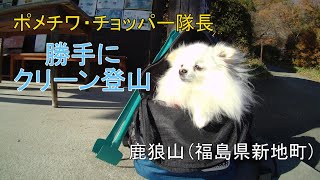 【想定外・企画倒れ・・・衝撃の結果が】ポメチワ・チョッパー隊長「鹿狼山・勝手にクリーン登山」