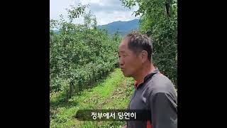 친환경 농업이 죄인 것 같은 현실