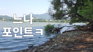 느면 나오는 배스낚시 포인트는 이런 곳 | fool bass fishing