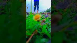 ଯାଅ ଆଜି ଠୁ ତତେ ଯାଉଛ ଭୂଲି || jaa aji thu Tate jauchhi bhuli //humane Sagar song//new status /odia 🥰