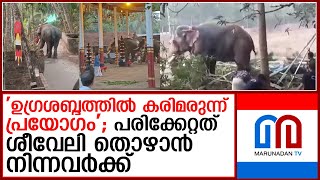 ദേവസ്വം ഓഫീസും ആന തകര്‍ത്തു; പരിക്കേറ്റത് ശീവേലി തൊഴാന്‍ നിന്നവര്‍ക്ക്  I  elephant koyilandy