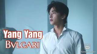 Yang Yang (杨洋) Bvlgari endorsement ad