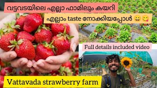 വട്ടവടയിലെ എല്ലാ സ്ട്രോബറി🍓തോട്ടത്തിലും കയറിയപ്പോൾ 😄| taste നോക്കലാണ് main😋| #vattavada #strawberry