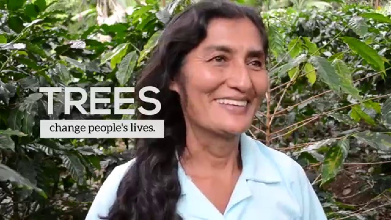 Arbor Day Foundation Vision Youtube