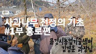 사과나무 정지 전정의 기초#1 문경시농업기술센터 김경훈과장 동계전정교육편 청송군 진보면에서