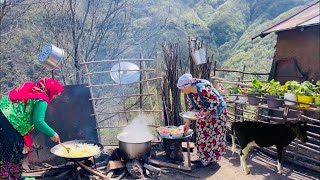 Starting a New Life in the Village: Cooking Dolma \u0026 Natural Chicken for the Dogs