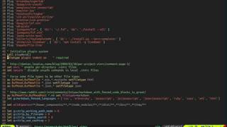 Vimfficiency: Customizing!