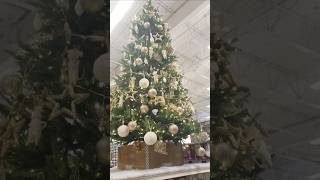 Graceful Christmas Trees🎅🌲🔔 | Canadian Tire2024 In Montréal