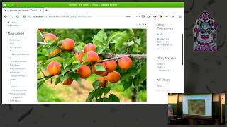 From 0 to Intranet in 20 minutes with XWiki