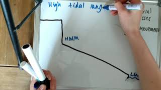 geog101: shore platforms
