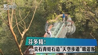 芬多精！尖石青蛙石造「天空步道」吸遊客