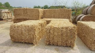 Wheat Straw Process | Dairy \u0026 Cattle daily food | Bhoosa Press Processing | Nagra Farm