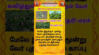 நீதிமன்ற வழக்கு வெல்ல #astrology #rasipalan